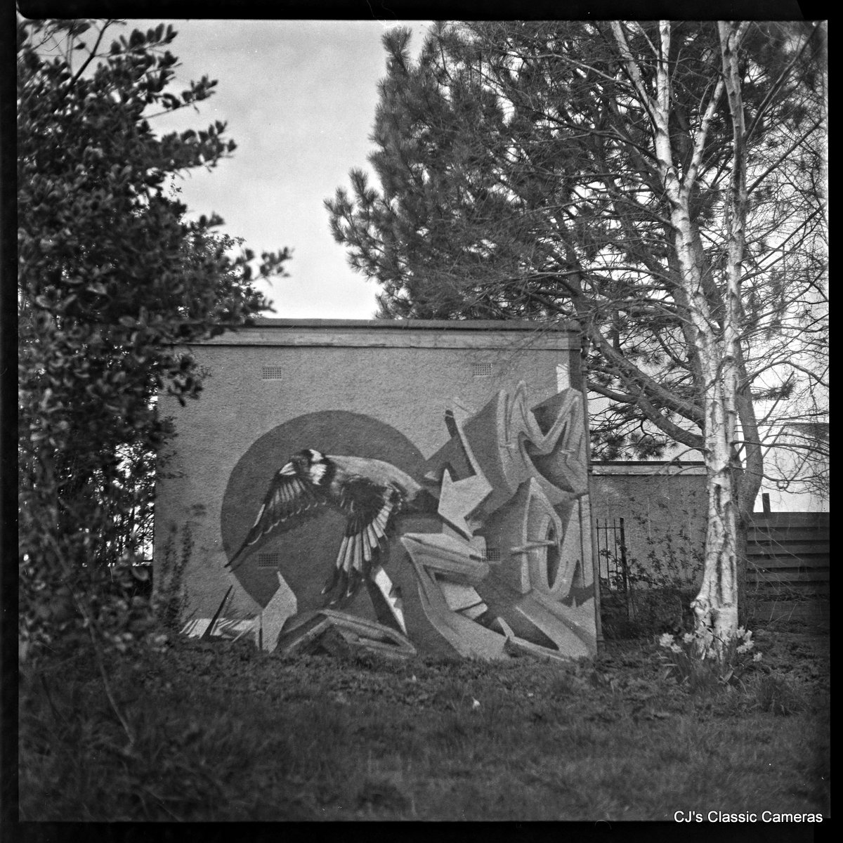 click image for photos Ricohmatic 225